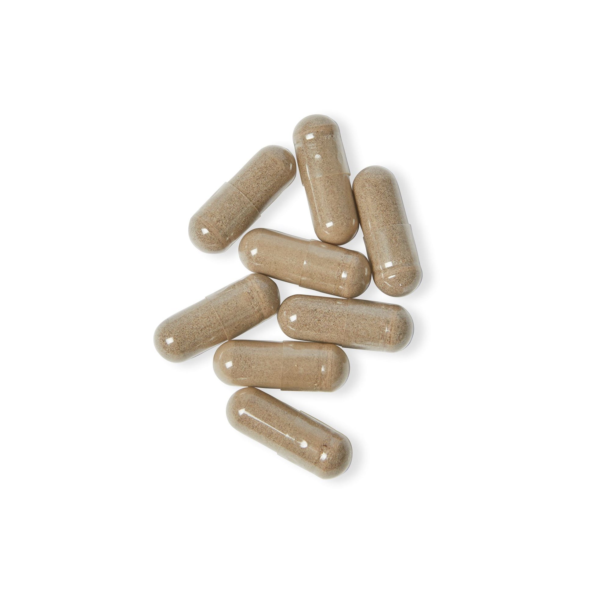 Goth sea moss supplement